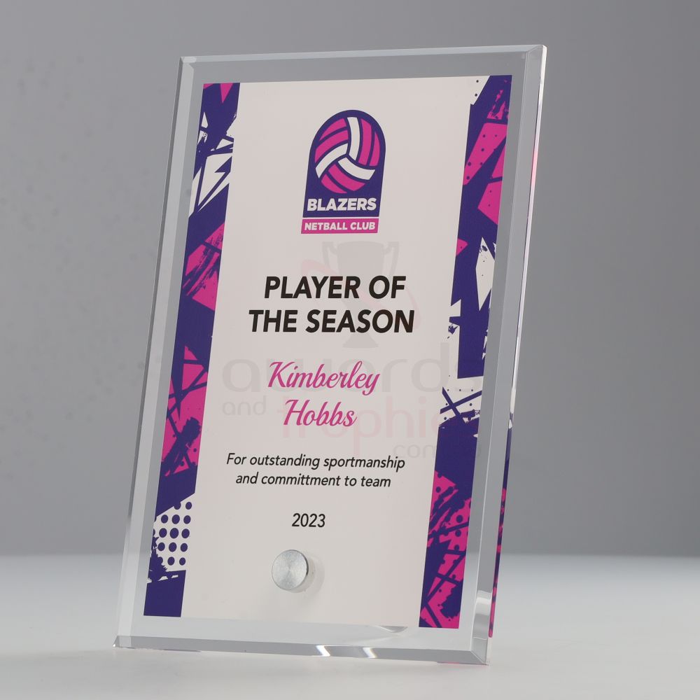 Netball Team Colours Plaque V3 150mm